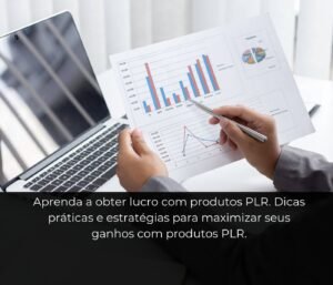 lucro com produtos PLR